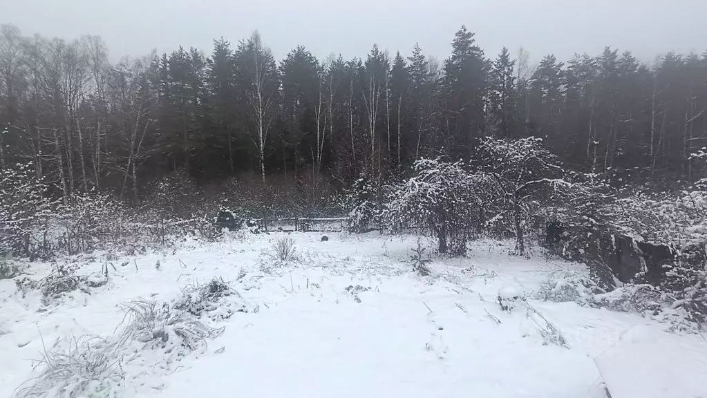 Участок в Ленинградская область, Всеволожский район, Рахьинское ... - Фото 1