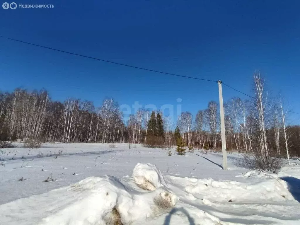 Участок в Тюменский район, дачный посёлок Ежевика (15 м) - Фото 1