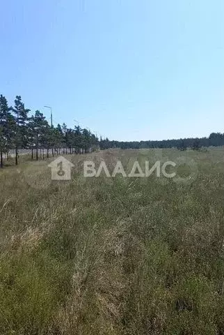 Участок 8 сот. (ИЖС) - Фото 0