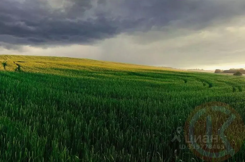 Участок в Крым, Сакский район, с. Молочное  (7.45 сот.) - Фото 0