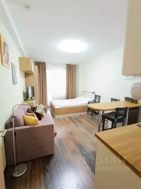 Студия Санкт-Петербург Пулковское ш., 14Г (25.0 м) - Фото 0