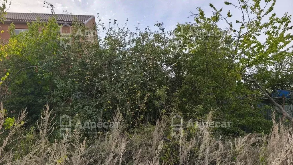 Дом в Волгоградская область, Волгоград Геофизик СНТ,  (17 м) - Фото 2