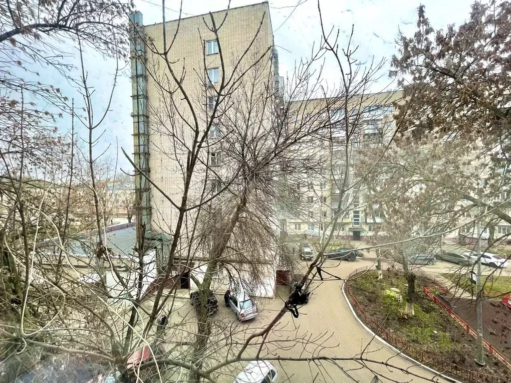 Комната Самарская область, Тольятти ул. Мира, 50 (10.0 м) - Фото 2