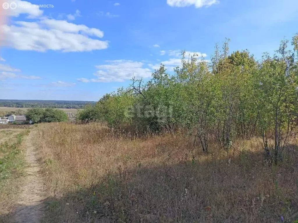 Участок в село Хвощеватка, Набережная улица (23.6 м) - Фото 1