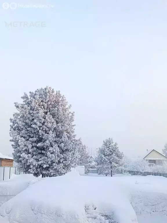 Участок в Новосибирск, улица Слюдянка, 19 (18 м) - Фото 1