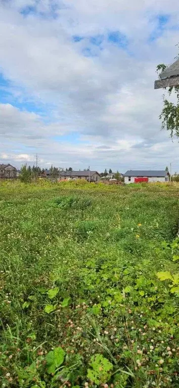 Дом в Ленинградская область, Тосненский район, Федоровское городское ... - Фото 1