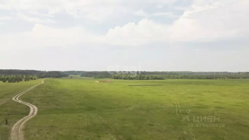 Участок в Тюменская область, Тюменский муниципальный округ, Каменское ... - Фото 1