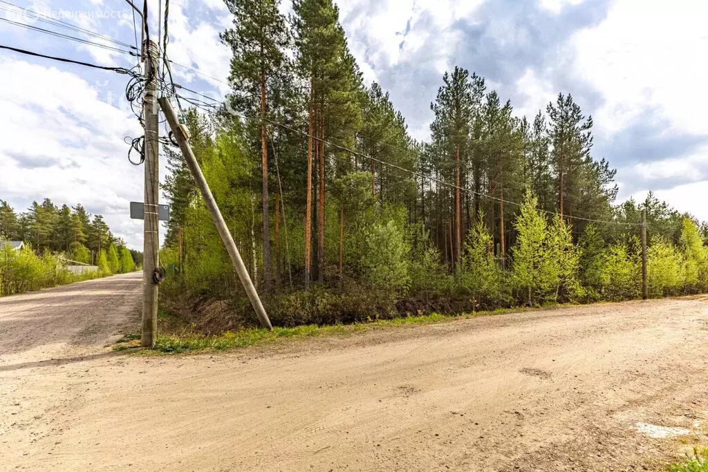 Участок в Сертоловское городское поселение, садоводческое ... - Фото 2