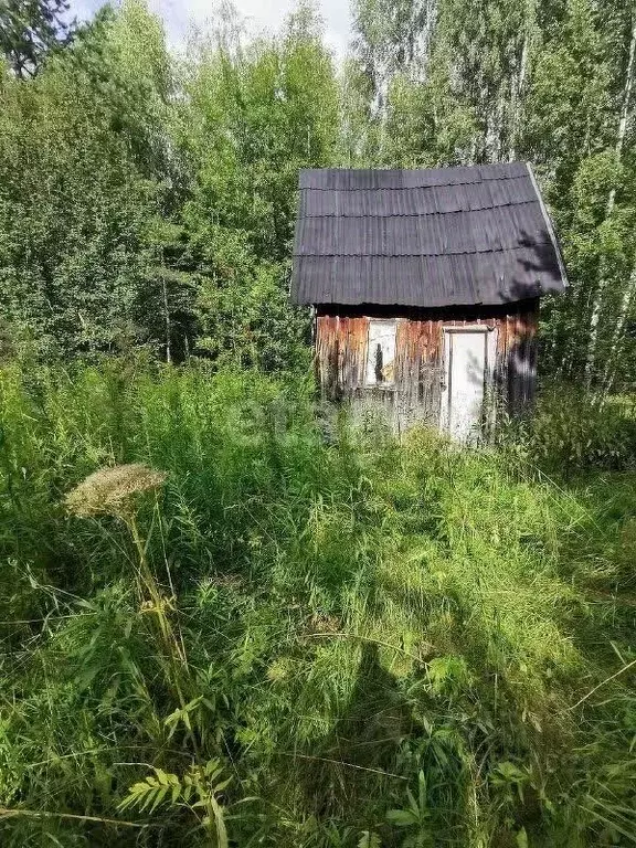 Участок в Кировская область, Кирово-Чепецкий район, Федяковское с/пос, ... - Фото 1