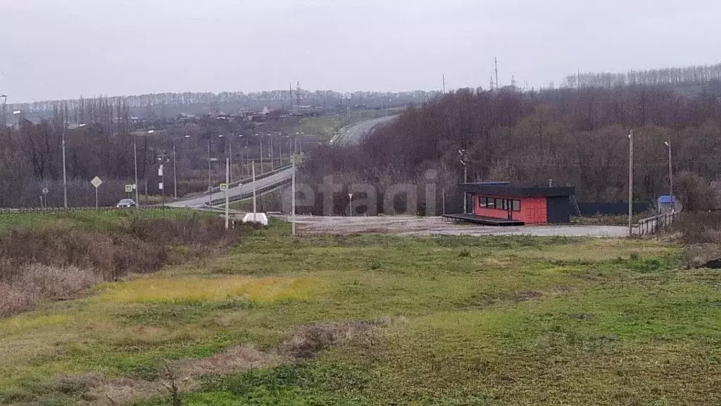 Торговая площадь в Воронежская область, Нижнедевицкий район, ... - Фото 1