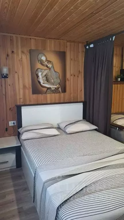 Дом в Воронежская область, Богучар ул. 25 Октября, 81 (60 м) - Фото 2