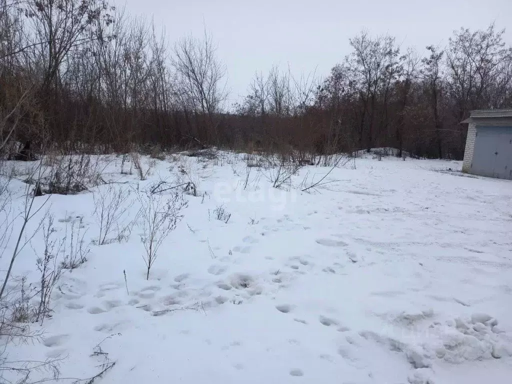 Участок в Белгородская область, Губкин Горняк-Мичуринец СТ,  (7.62 ... - Фото 1