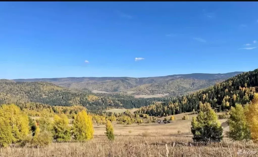 Участок в Алтай, Чемальский район, Элекмонарское с/пос, Седьмое Небо ... - Фото 1