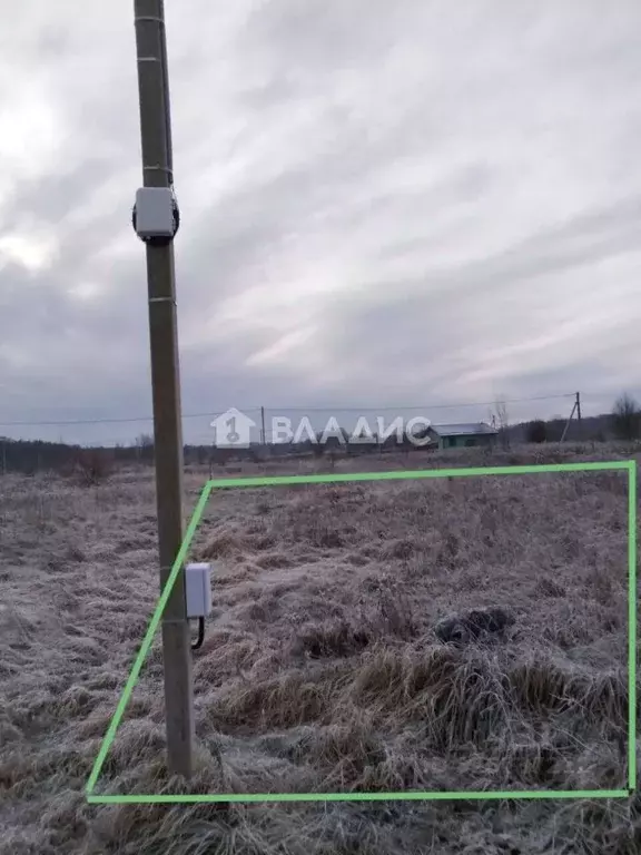 Участок в Калининградская область, Зеленоградский муниципальный округ, ... - Фото 1