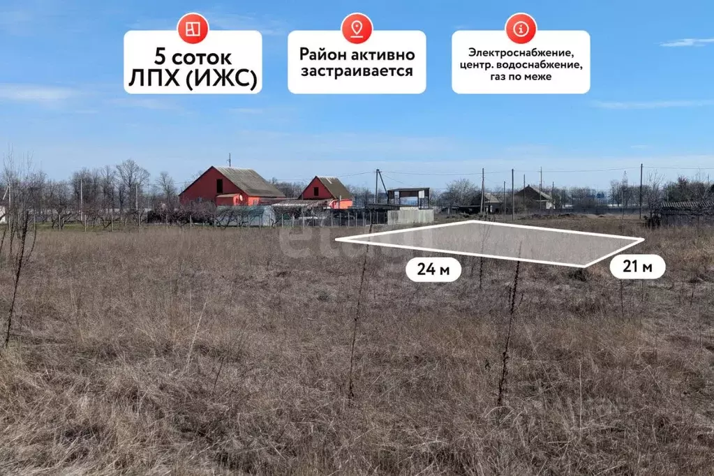 Участок в Краснодарский край, Темрюкский район, Краснострельское ... - Фото 1