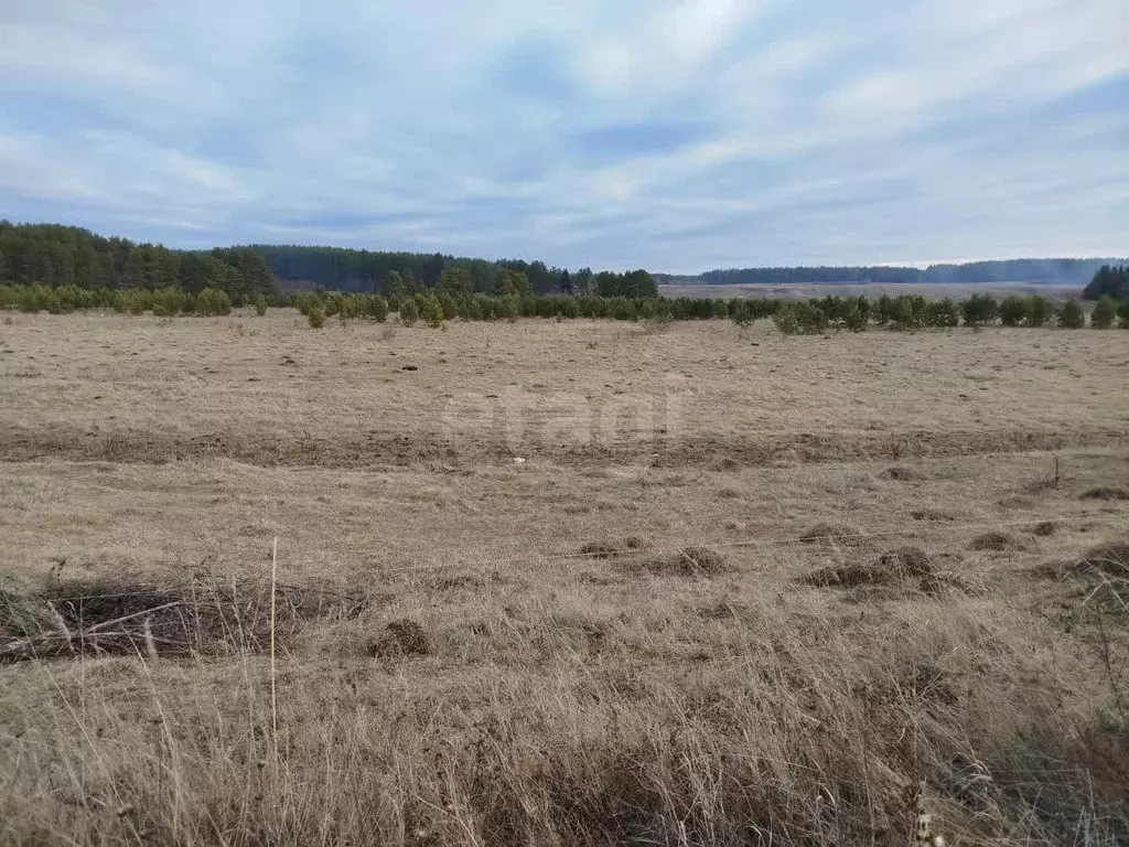 Участок, 10 сот., поселения (ижс) - Фото 2