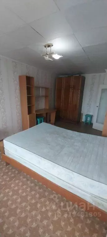 1-к кв. Нижегородская область, Дзержинск Пушкинская ул., 16 (31.0 м) - Фото 1