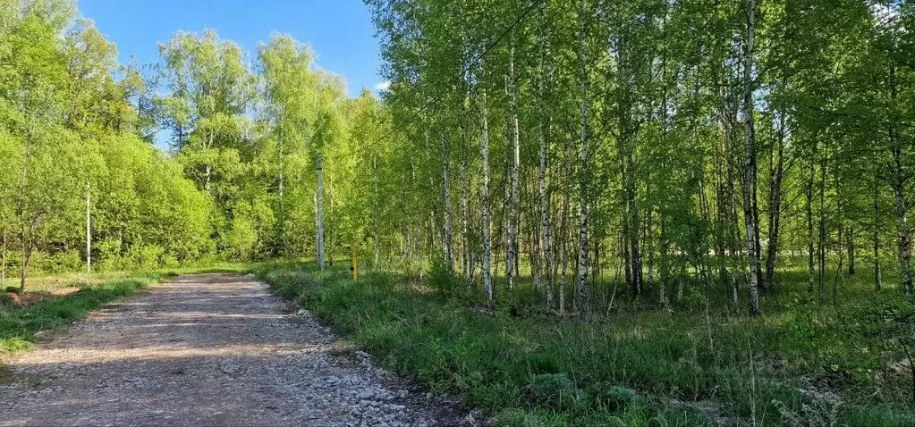 Участок в Татарстан, Лаишевский район, с. Сокуры, Новые Сокуры - 2 кп  ... - Фото 2