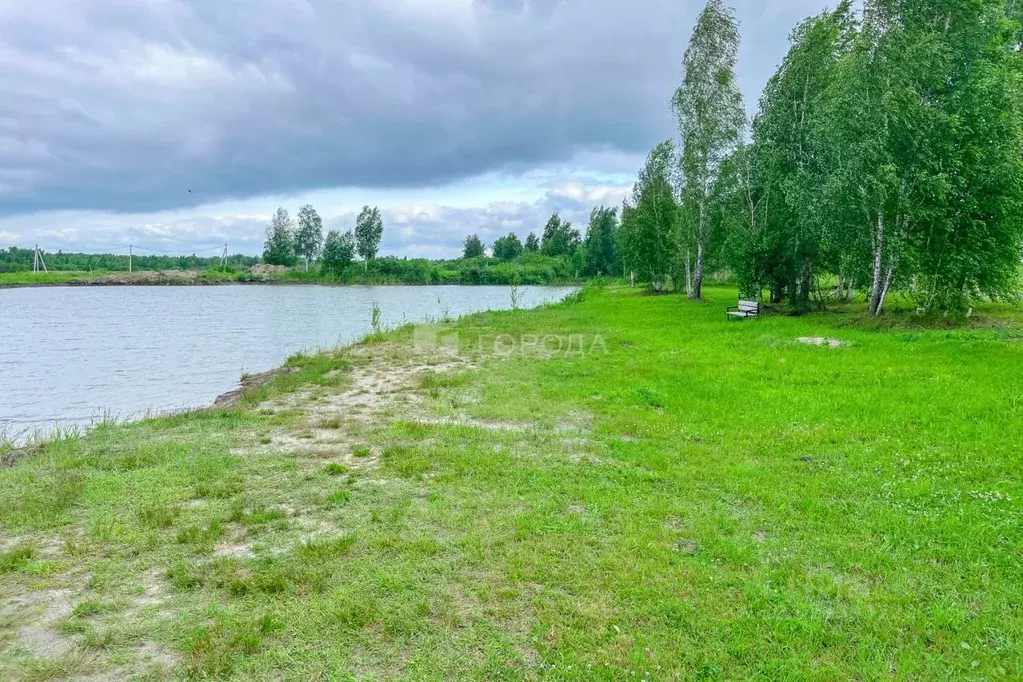 Участок в Новосибирская область, Новосибирский район, Криводановский ... - Фото 2