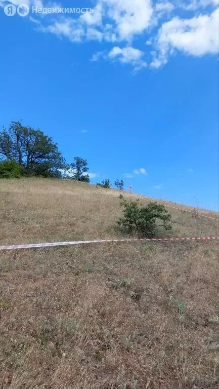 Участок в Приветное, улица Фросинлер (9.4 м) - Фото 2