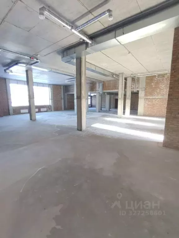 Помещение свободного назначения в Новосибирская область, Новосибирск ... - Фото 1