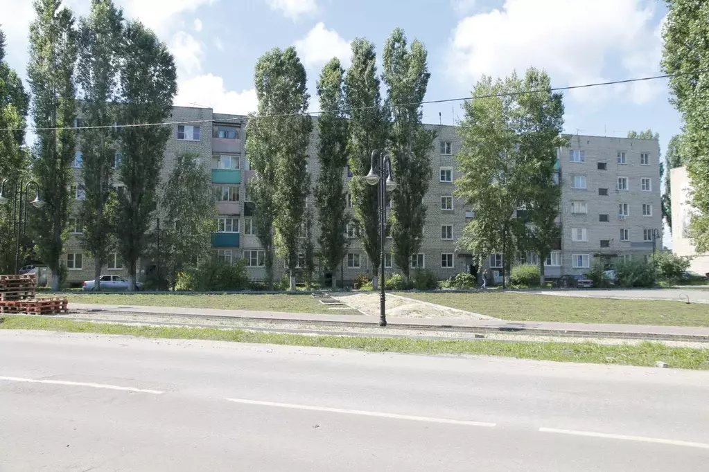 1-к кв. Липецкая область, Чаплыгин Московская ул., 32 (34.3 м) - Фото 2