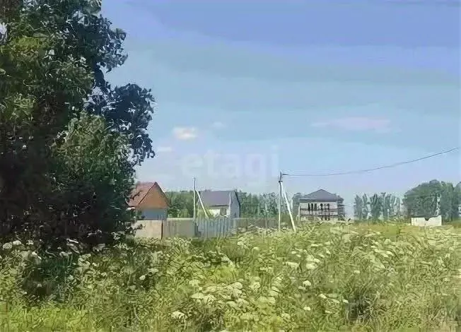 Участок в Ульяновская область, Чердаклинский район, Белоярское с/пос, ... - Фото 1