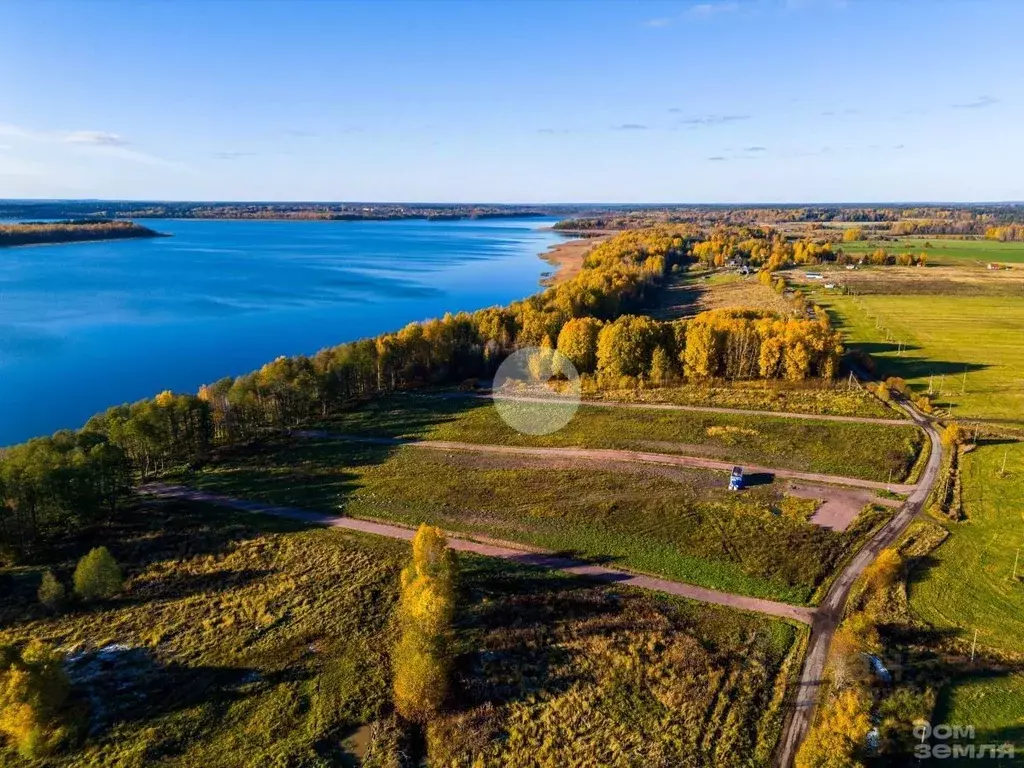Участок в Ленинградская область, Выборгский район, Красносельское ... - Фото 1