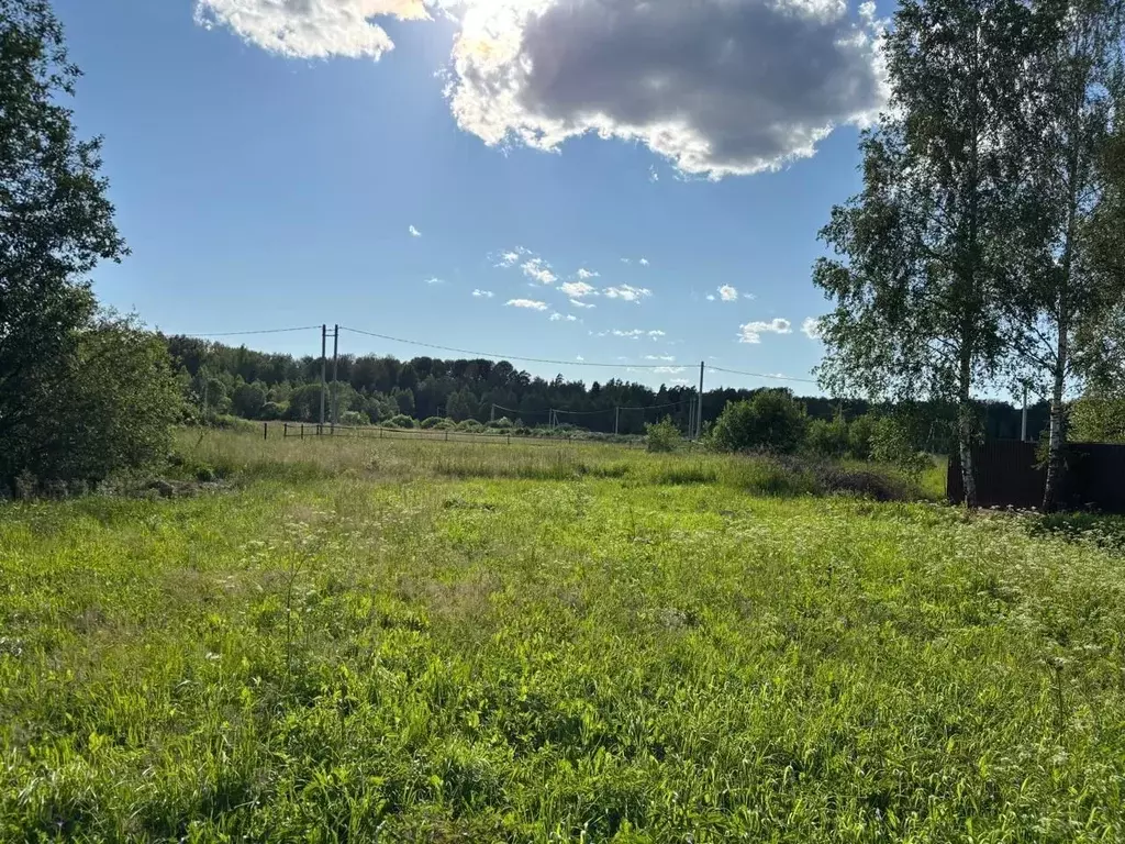 Участок в Московская область, Щелково городской округ, д. Маврино ул. ... - Фото 1