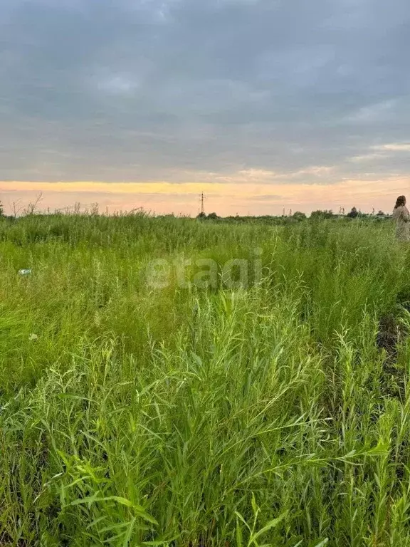 Участок в Амурская область, с. Ивановка  (100.0 сот.) - Фото 1