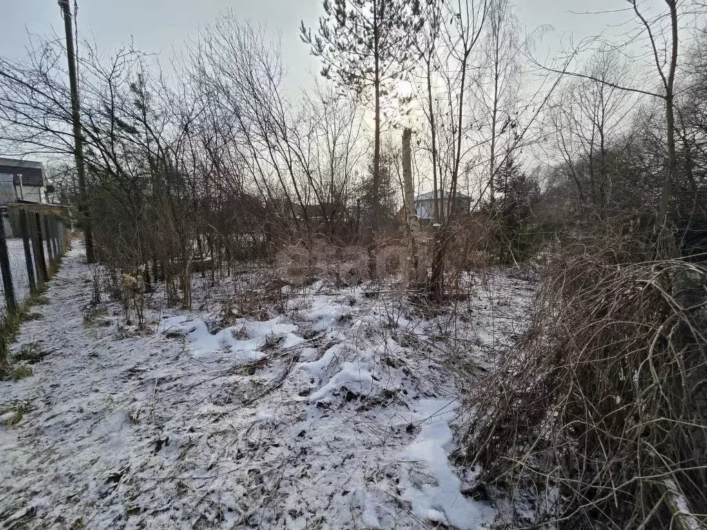 Участок в Москва д. Прокшино, Морковка ОНТ, 8 (4.0 сот.) - Фото 0