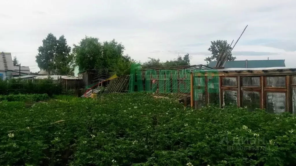 Дом в Забайкальский край, Чита № 26 Ремстрой СОНТ, 160 (34 м) - Фото 1