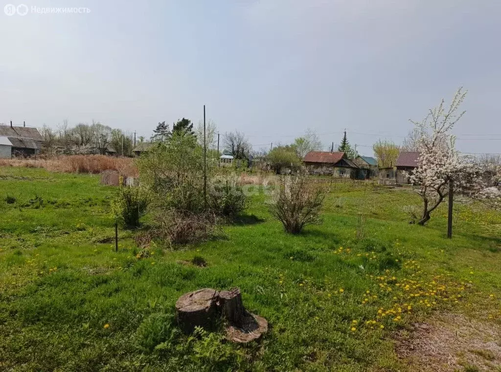 Дом в Хабаровск, улица Серышева, 11 (40.3 м) - Фото 0