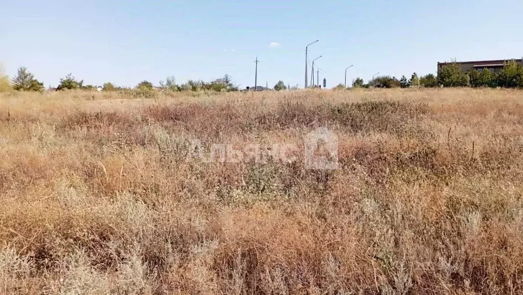 Участок в Ростовская область, Белокалитвинский район, Нижнепоповское ... - Фото 2