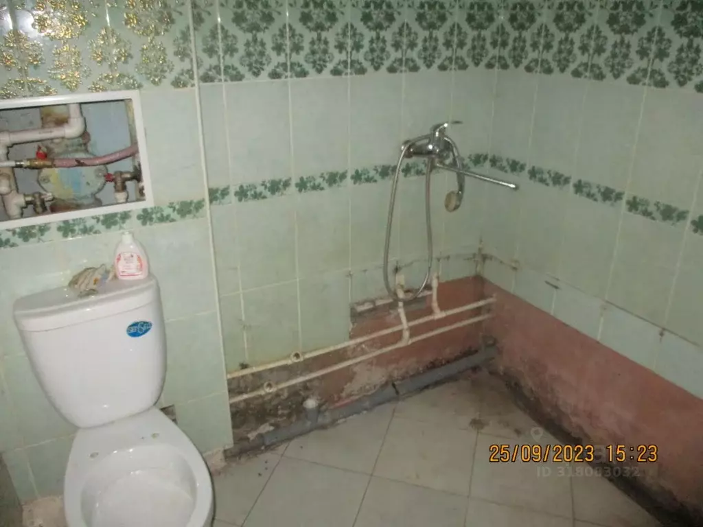 Помещение свободного назначения в Новосибирская область, Новосибирск ... - Фото 1