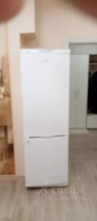 2-к кв. Псковская область, Псковский район, Писковичская волость, д. ... - Фото 2