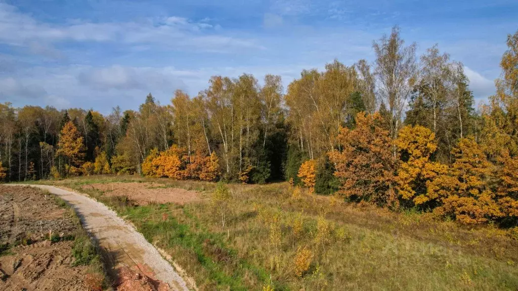 Участок в Московская область, Мытищи городской округ, Юрьево лесное кп ... - Фото 1