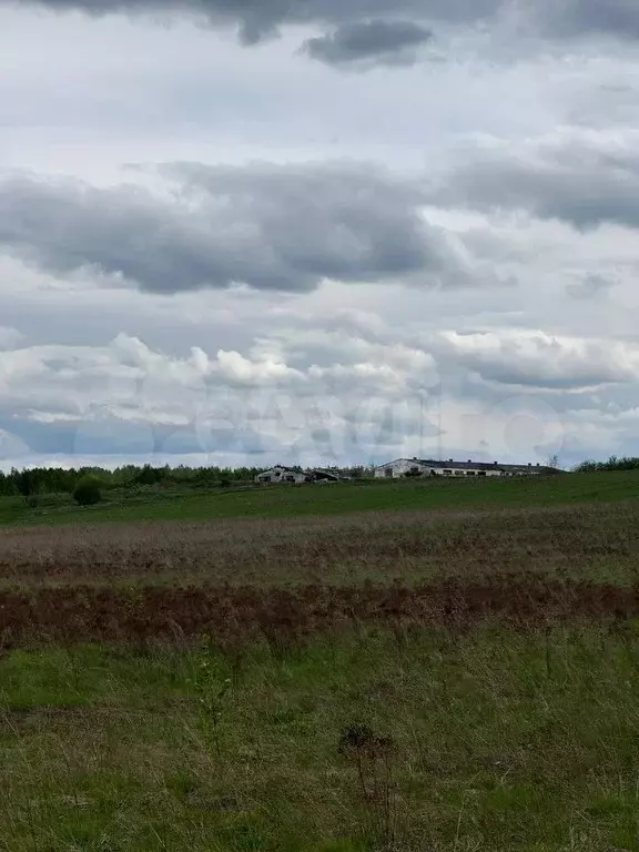 Участок 102 га (СНТ, ДНП) - Фото 1