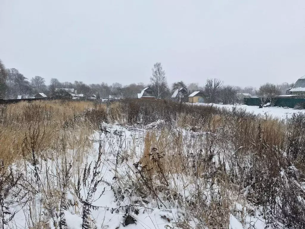 Участок в Московская область, Ступино городской округ, д. Алфимово ул. ... - Фото 1