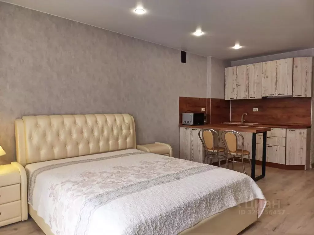 Студия Пензенская область, Пенза ул. Генерала Глазунова, 5 (30.0 м) - Фото 2