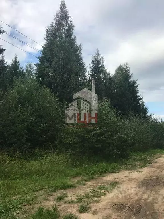 Участок в Тверская область, Конаковский муниципальный округ, Козлово ... - Фото 1