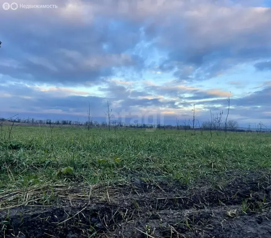 Участок в Краснодарский край, Анапа (1178 м) - Фото 2