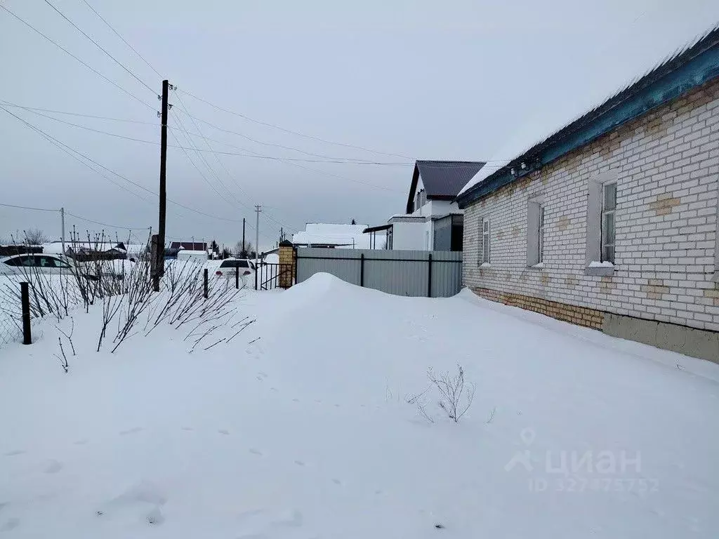 Дом в Пензенская область, Бессоновский район, с. Кижеватово Нижняя ... - Фото 2