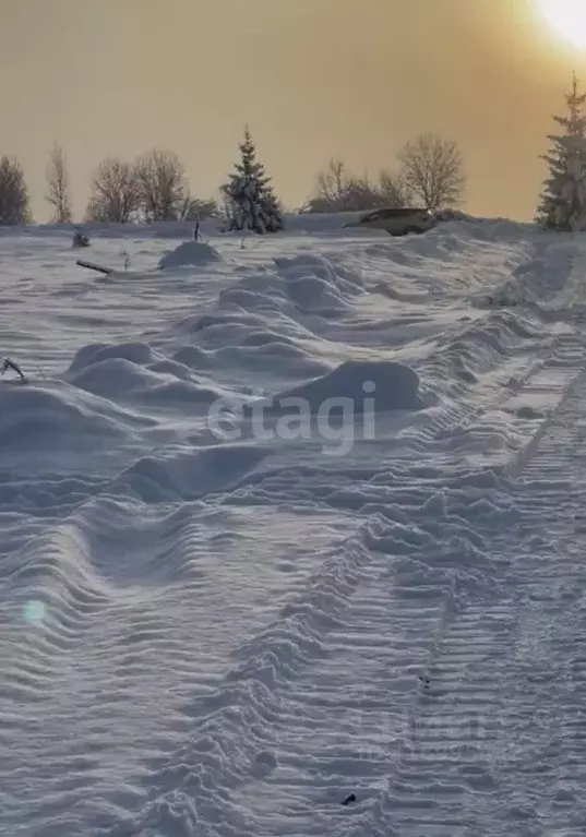 Участок в Ленинградская область, Всеволожский район, Лесколовское ... - Фото 0