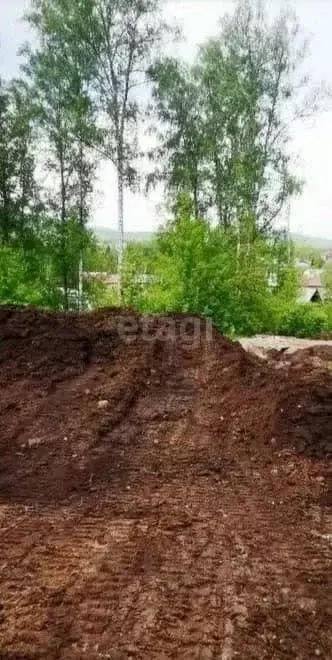 Участок в Алтай, Майминский район, с. Майма Лесная ул. (10.0 сот.) - Фото 0