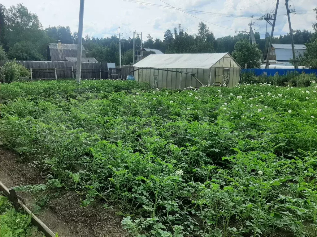 Дача 15 м на участке 8 сот. - Фото 1