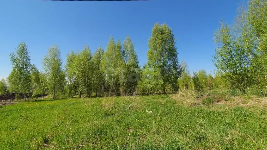 Участок в Кемеровская область, Кемеровский район, д. Солонечная ул. ... - Фото 1