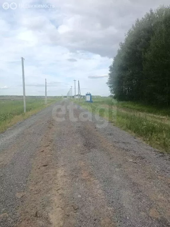 Участок в Тюменский район, село Каменка (6 м) - Фото 1