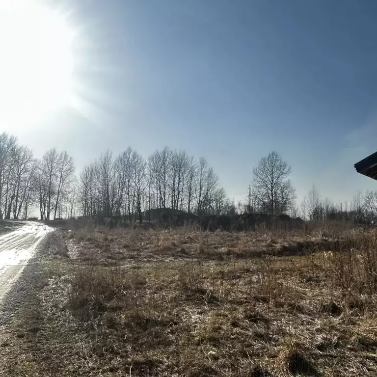 Участок в Ленинградская область, Кингисеппский район, Большелуцкое ... - Фото 1