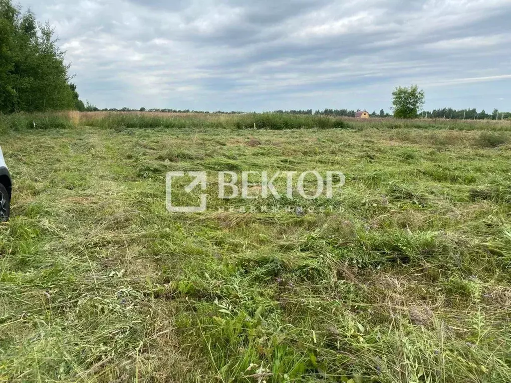 Участок в Костромская область, Кострома ул. Счастливая (11.77 сот.) - Фото 1